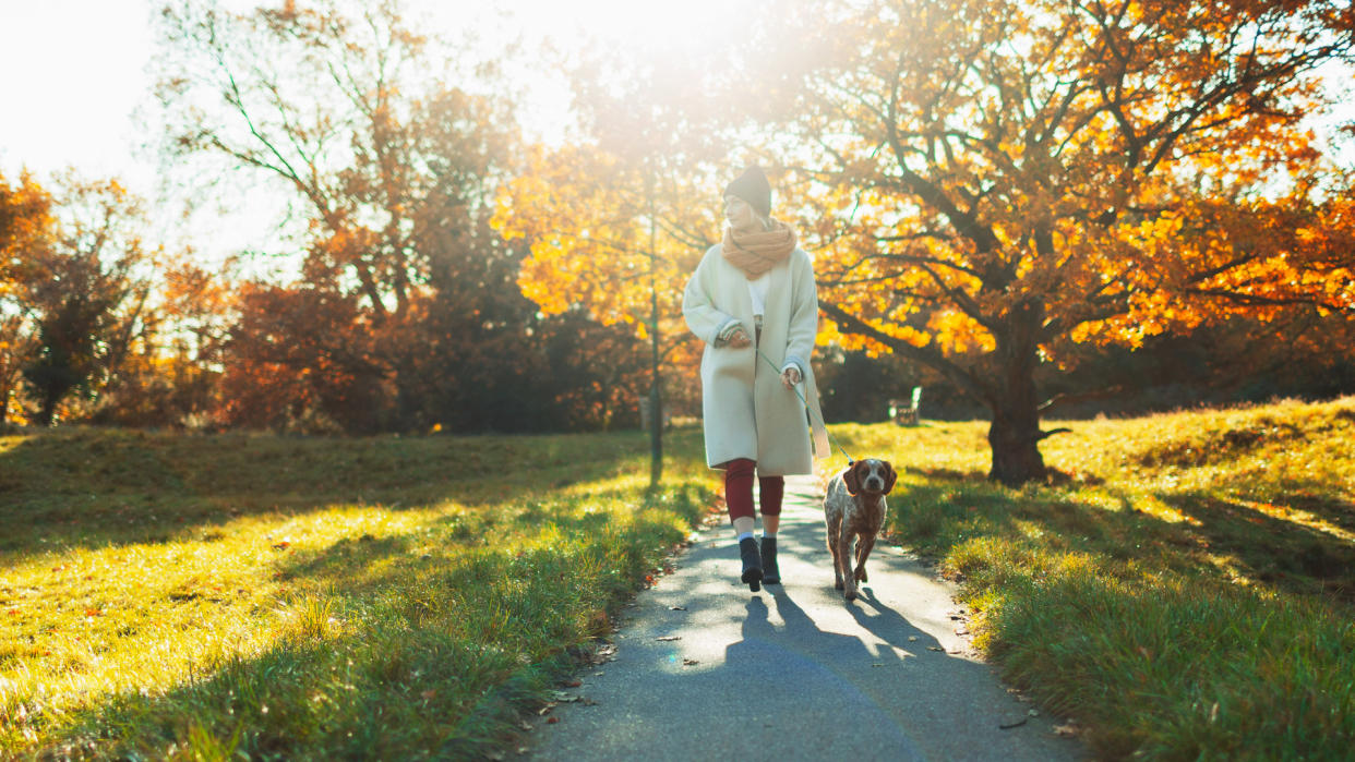 Young woman walking dog in sunny autumn park.