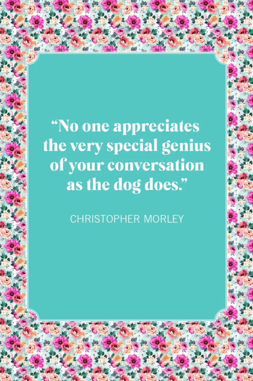 dog mom quotes christopher morley