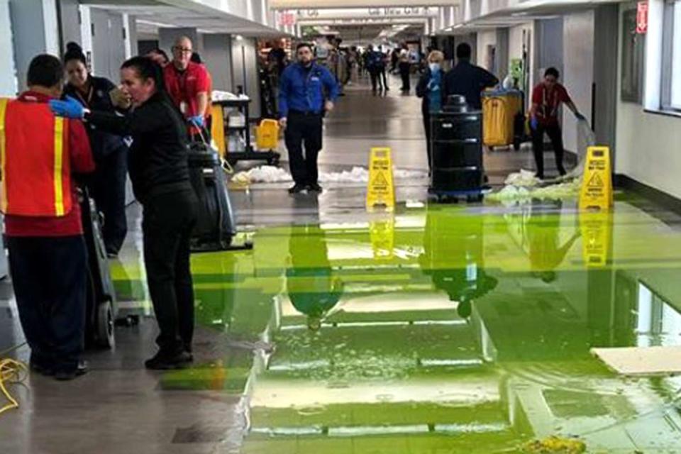 <p>Miami International Airport</p> Green liquid that came out of the ceiling at Miami International Airport 