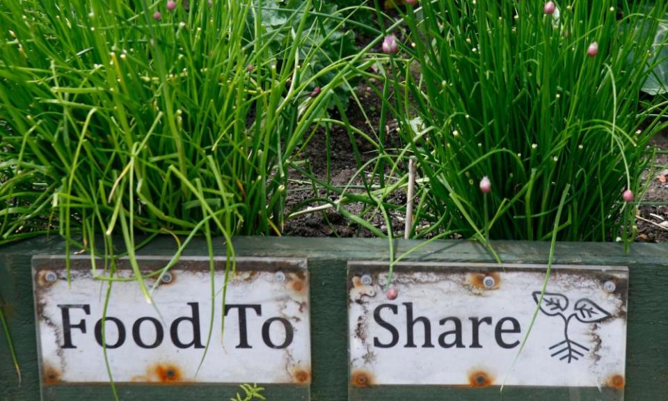 An Incredible Edible plot in Todmorden.