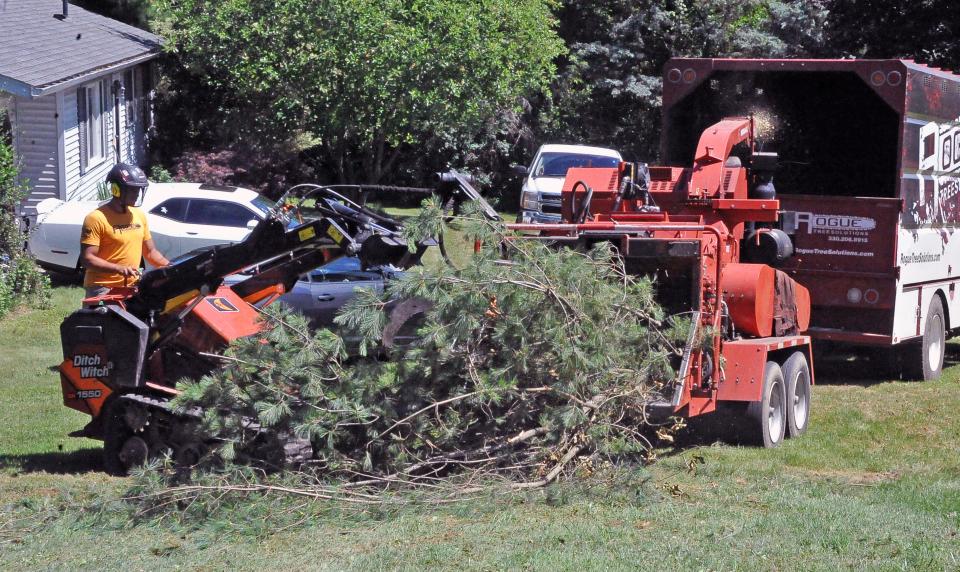 An employee of Rogue Tree Solutions puts debris collected at a work site through a chipper to help clean-up. President and co-owner Corey Parsons said his teams have been working roughly 16 hours days, even in the 90-degree heat, to help the community bounce back from the storm.