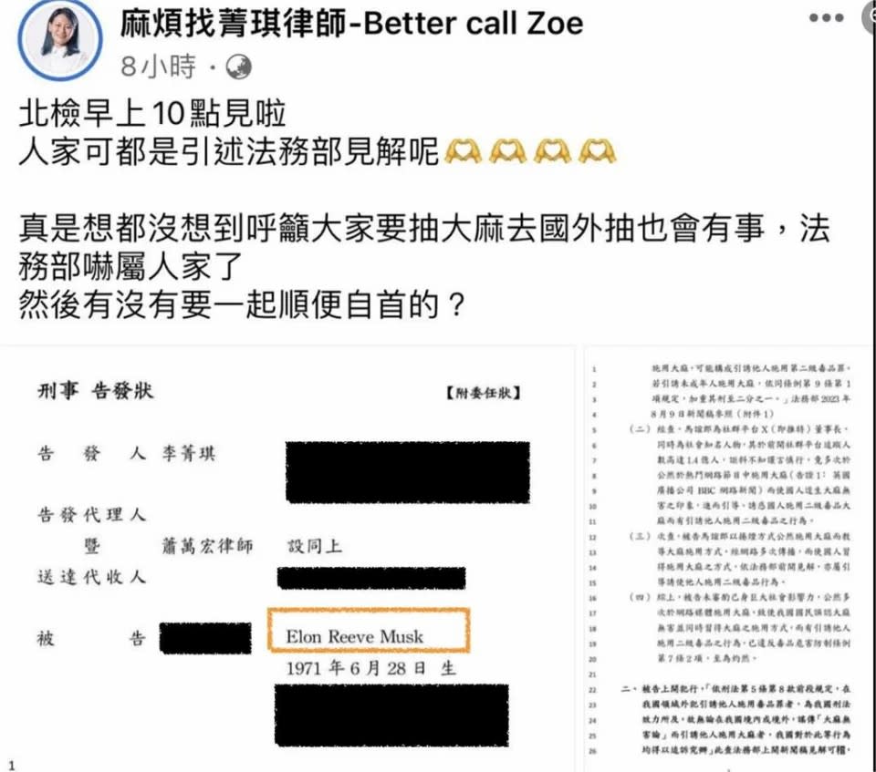 <strong>綠黨主席李菁琪為了凸顯法務部新聞稿的荒謬性，提告世界首富馬斯克。（圖／翻攝李菁琪臉書）</strong>