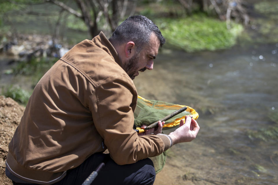 Halil Ibrahimi, 44, associate professor at the faculty of natural sciences at Pristina university, searches his net for insects near a polluted stream in Siceve, Kosovo, on Friday, April 16, 2021. Restrictions during the coronavirus pandemic helped Kosovar biologist Ibrahimi sit down and complete his research, naming a new insect after the virus and raised public awareness against pollution of river basins. (AP Photo/Visar Kryeziu)