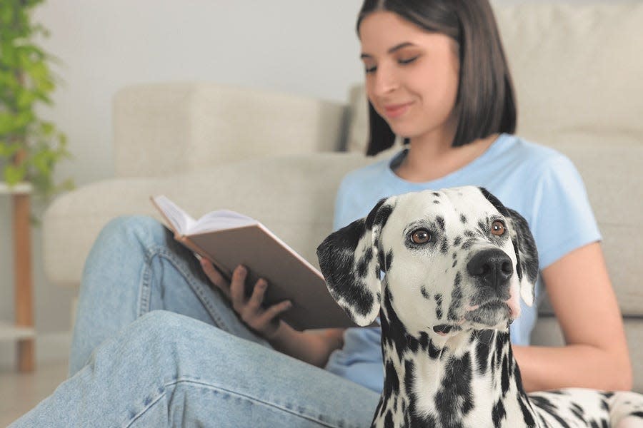 Beat the heat by kicking back with a good book — and your pet.