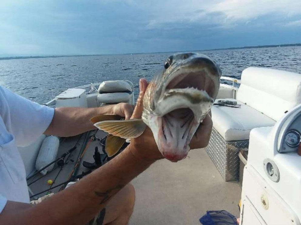 Debbie Geddes caught a fish apparently with two mouths: Screengrab NBC: Knotty Boys Fishing