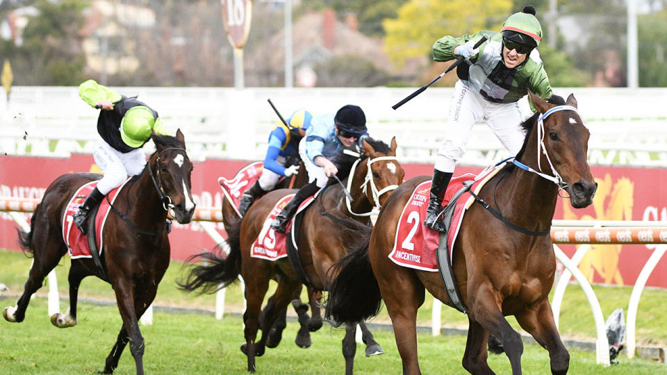 Caulfield Cup winner Incentivise goes into the Melbourne Cup as the shortest-priced favourite since the legendary Phar Lap. Pic: Getty