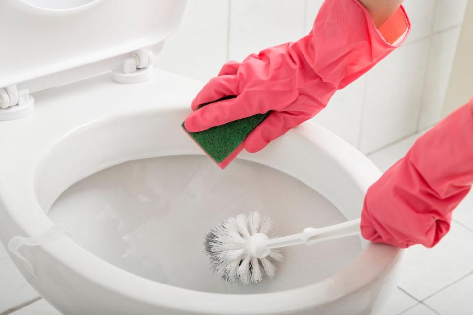 hands in pink cleaning gloves cleaning a toilet bowl with a toilet brush and sponge
