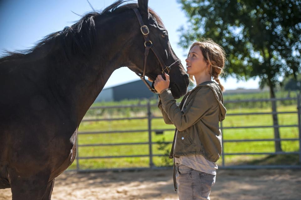 <p>In this German drama, a 17-year-old with a congenital heart defect defies her limits by becoming a thrill seeker, leading her to form a bond with a rowdy black stallion whom she hopes to race despite her parents' discouragement. </p> <p>Watch <a href="http://www.netflix.com/title/81051688" class="link " rel="nofollow noopener" target="_blank" data-ylk="slk:&quot;Rock My Heart&quot;">"Rock My Heart"</a> on Netflix now.</p>