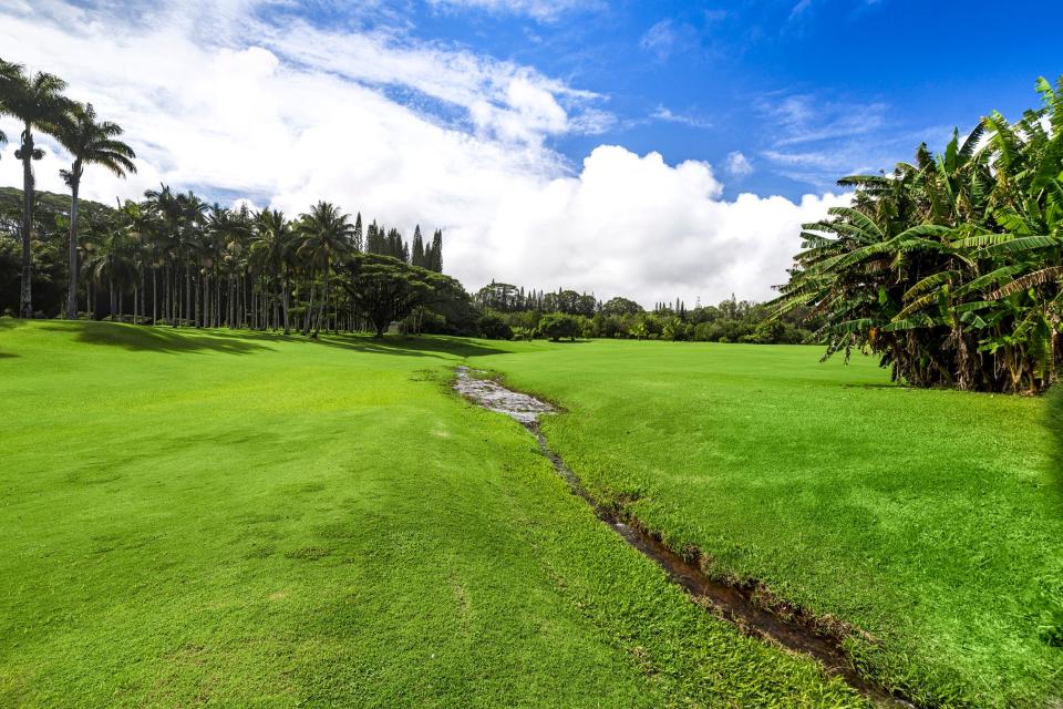 Vijay Singh Hawaii mansion for sale.