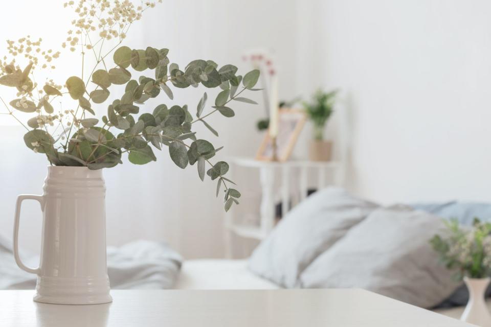 <p>'The scent of eucalyptus is the driving factor that keeps arachnids out of your home,' Evie says. </p><p>'Add sprigs of eucalyptus around your <a href="https://www.housebeautiful.com/uk/decorate/bathroom/a37372629/bathroom-trends-features-increase-property-value/" rel="nofollow noopener" target="_blank" data-ylk="slk:bathroom;elm:context_link;itc:0;sec:content-canvas" class="link ">bathroom</a>, kitchen and living room. You can also mix a few leaves with witch hazel and water and spray any areas that a spider could hide to prevent them from making webs in any discreet corners or <a href="https://www.housebeautiful.com/uk/lifestyle/cleaning/a37063595/eco-friendly-cleaning-cupboard-quiz/" rel="nofollow noopener" target="_blank" data-ylk="slk:cupboards;elm:context_link;itc:0;sec:content-canvas" class="link ">cupboards</a>.' </p>