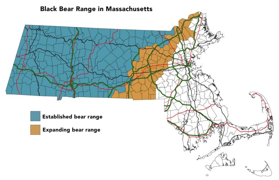 A map tracking the range of Massachusetts' black bear population. Since the 1970s, the total number of bears has grown and are slowly expanding farther east.