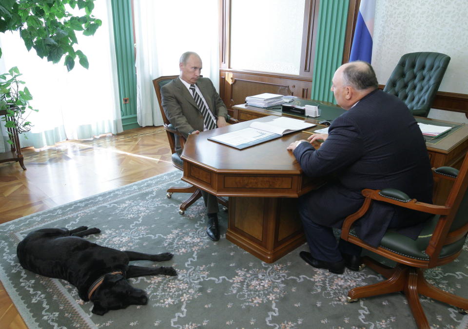 Putin and his pet labrador Koni attend a meeting at an undisclosed location in Russia on July 27, 2010.