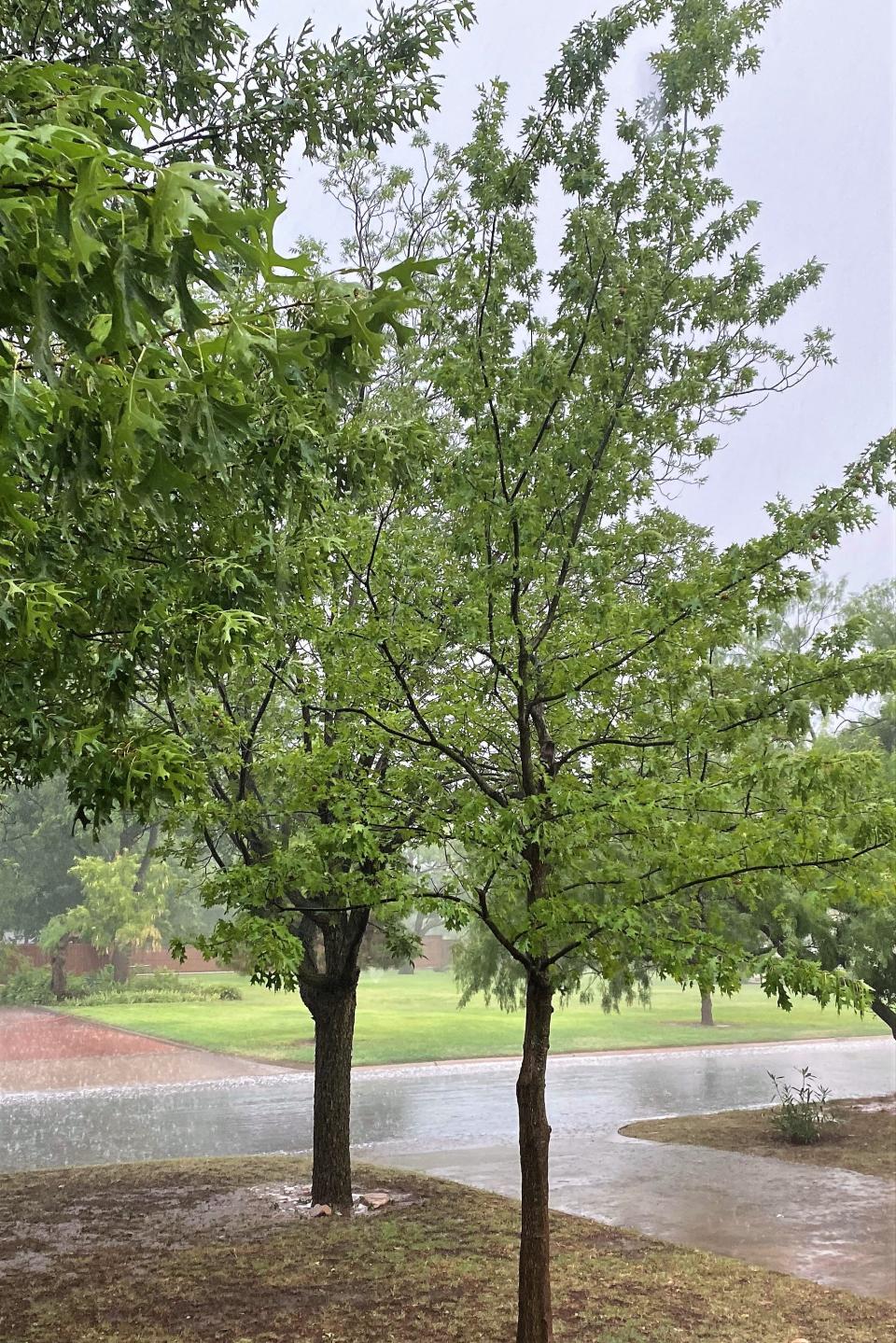 Western areas of Abilene received welcome rainfall Sunday evening, enough to fill street gutters. Other areas of the city got little rain. The cloud cover did drop temperatures into the 80s for a high of 100.
