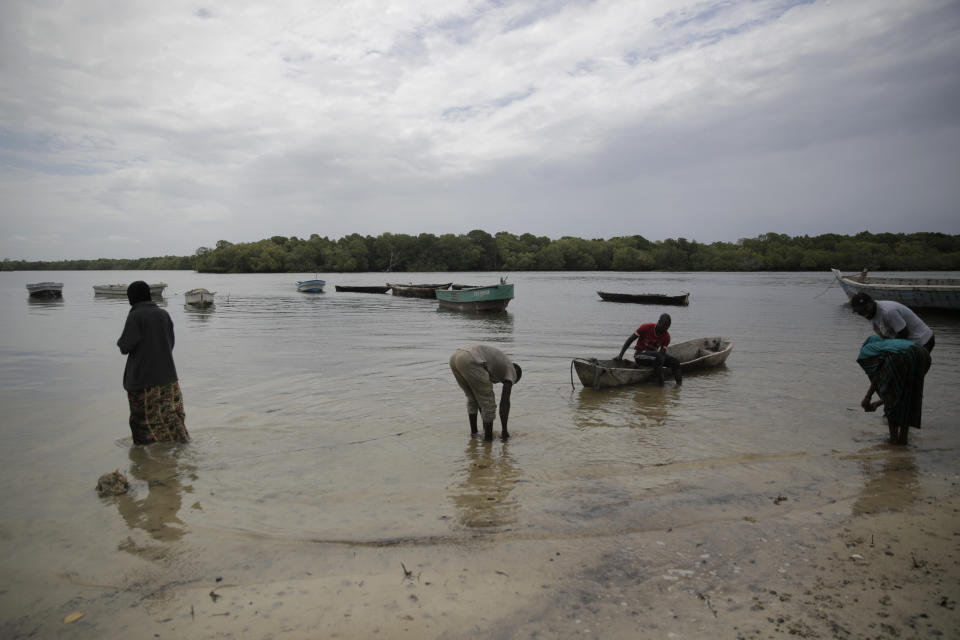 Fishing dhows are moored along the coastline backdropped by mangrove trees, Kwale county, Gazi Bay, Kenya on Sunday, June 12, 2022. (AP Photo/Brian Inganga)