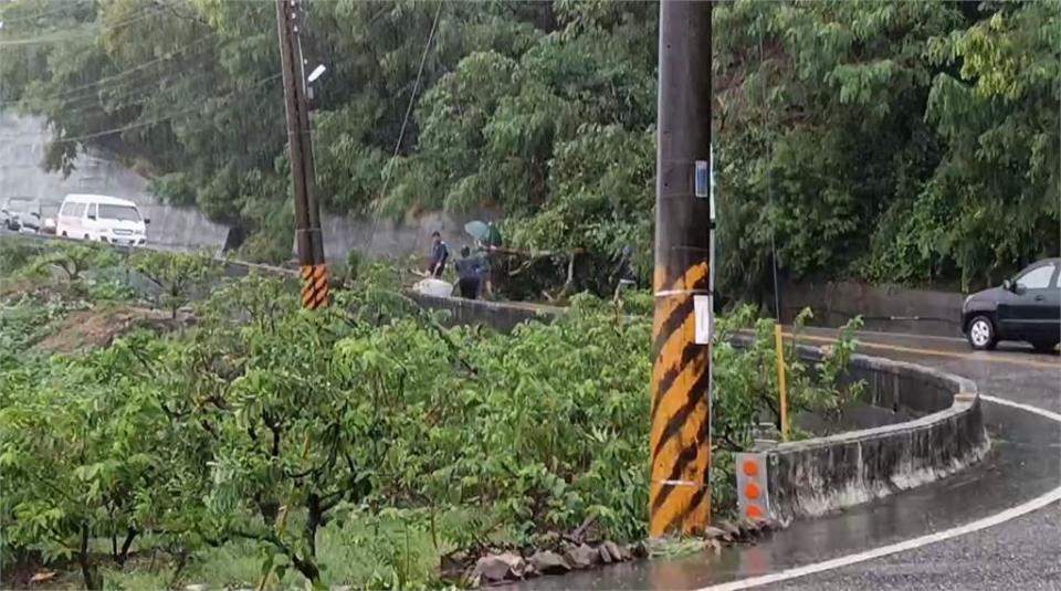 颱風天台東縣長在義大利被罵翻　饒慶鈴今早抵達高雄