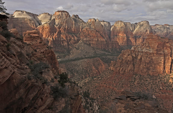 Red and white Navajo sandstone in Zion National Park.