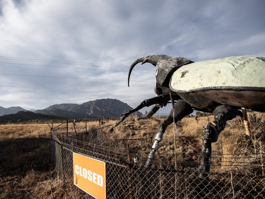 giant beetle statue colorado springs