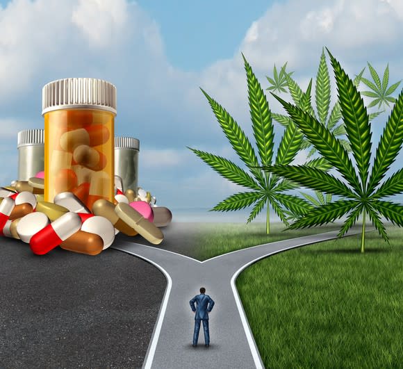 A person standing at a fork in a road, with one path leading to cannabis leaves, and the other to prescription opioids.