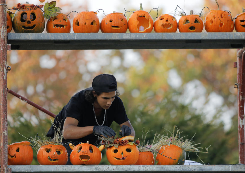 In this Saturday, Oct. 26, 2019 photo a staff member arranges carved pumpkins on a scaffolding at The Halloween Pumpkin Fest in Bucharest, Romania. The Halloween Pumpkin Fest, "the biggest pumpkin carving event in Europe", according to organizers, took place over the weekend in a popular park in the Romanian capital with thousands trying their hand at carving more than 30 thousand pumpkins ahead of Halloween.(AP Photo/Vadim Ghirda)