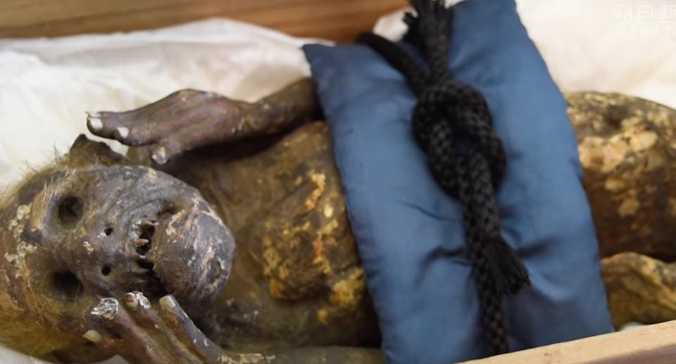 The mermaid mummy in its secure box. 