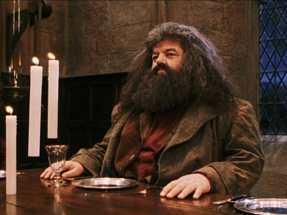 HAGRID HARRY POTTER