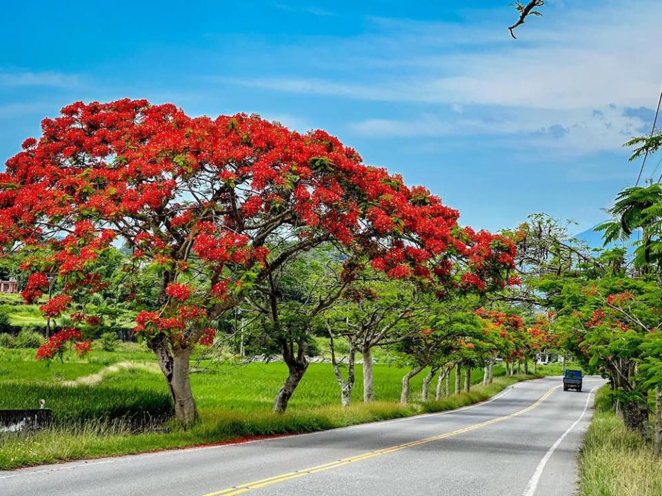 花蓮193縣道（圖片來源：花東縱谷國家風景區管理處）