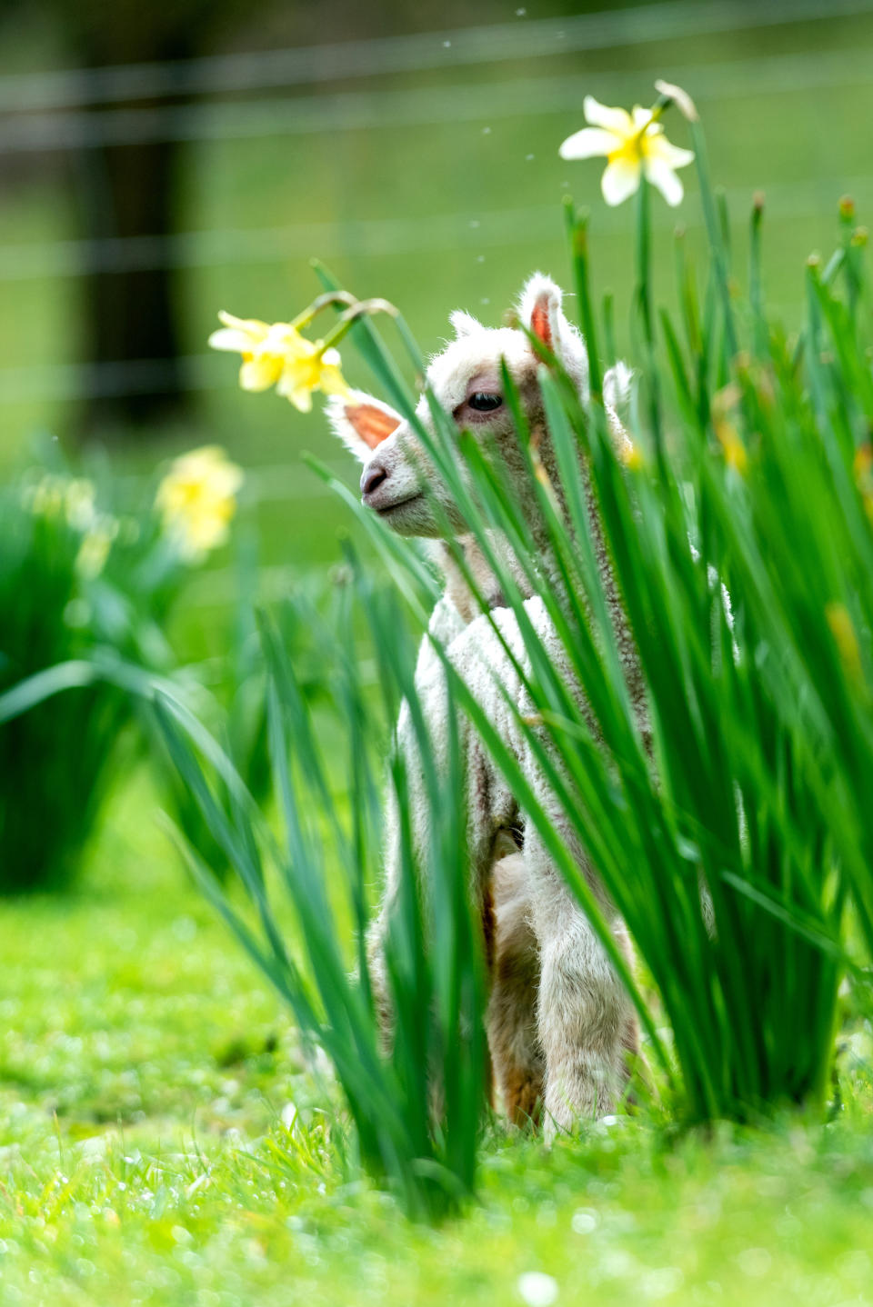 Taking time to smell the flowers. (Photo: Andrew Hasson via Getty Images)
