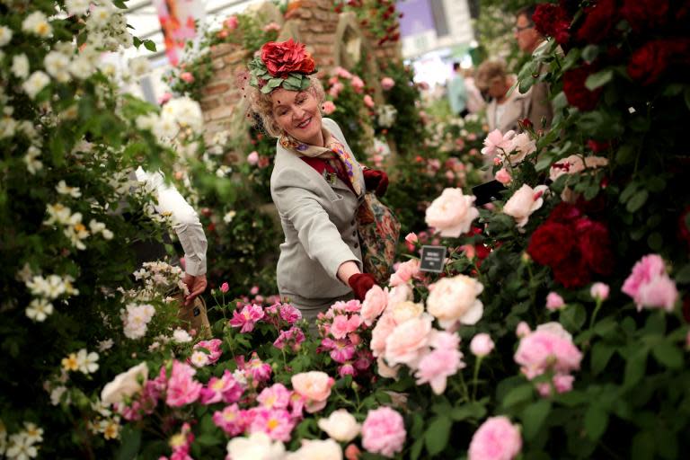 Chelsea Flower Show tickets 2019 and 2020: Dates, weather, schedule and everything you need to know