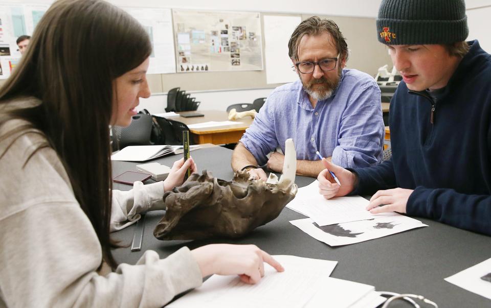 Iowa State University associate professor of archaeology and animal bones expert Matthew Hill watches as senior Brenden Patterson and sophomore Chaleigh Gobin measure a saber-toothed cat skull recently found in southwest Iowa during their class at Pearson Hall on Tuesday, April 4, 2023, in Ames, Iowa.