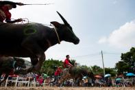 An estimated 10,000 people attended the annual festival