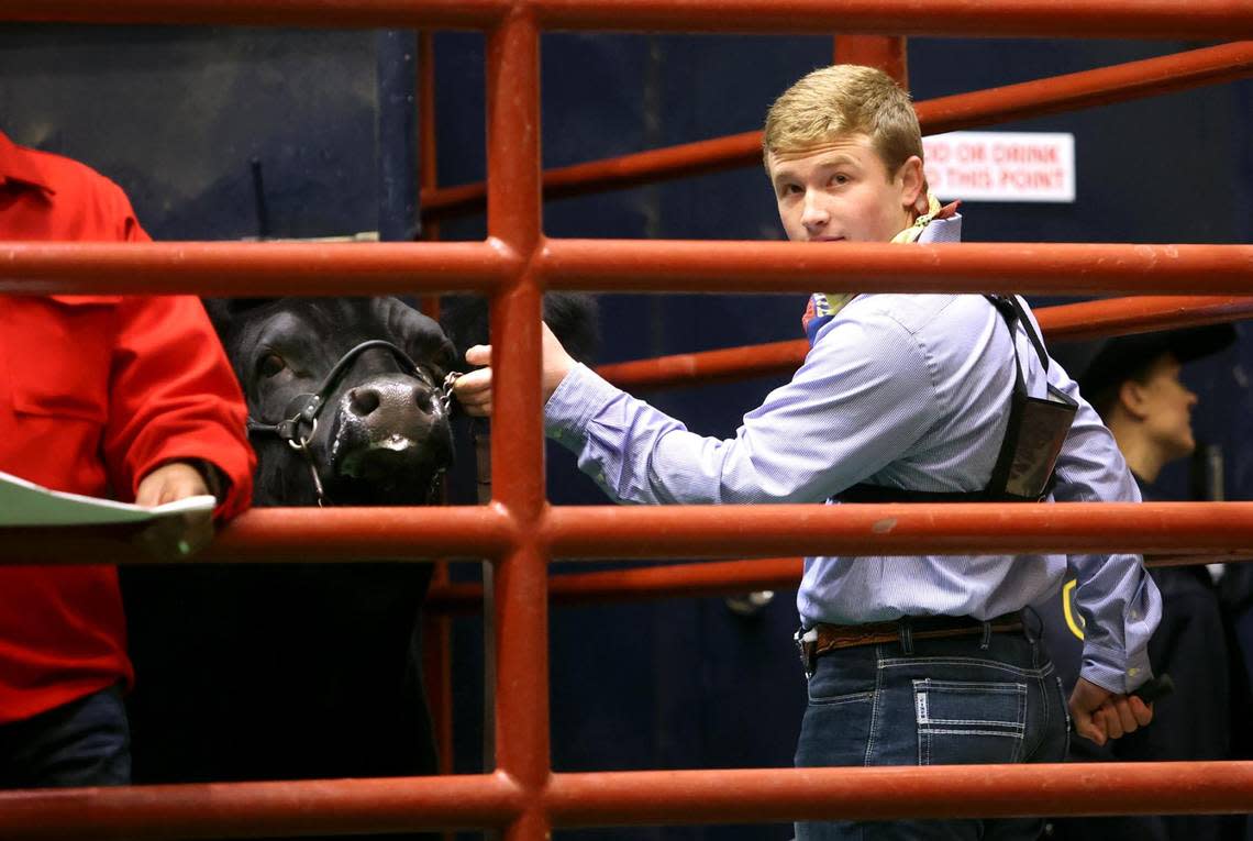 Tristan Himes, 17, of Sterling City looks out over the arena before walking out with Steve, named the Grand Champion in the Junior Steer competition, during the Junior Sale of Champions at the Fort Worth Stock Show & Rodeo on Saturday, February 5, 2022. The Steering Committee purchased Steve for a record-breaking $310,000.