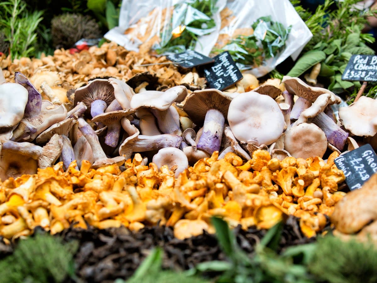 Wild mushrooms have their moment at this time of year  (Getty/iStock)