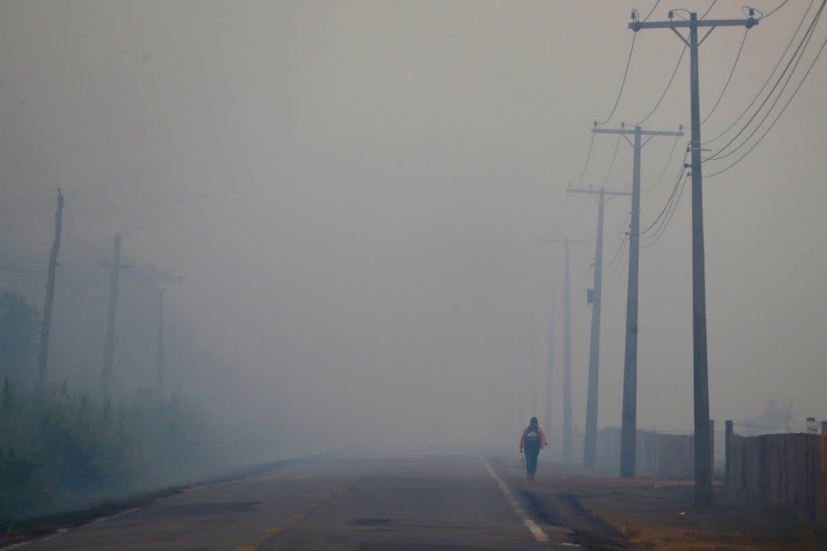 A person walks down a highway in Brazil’s Amazonas state, navigating through thick smoke from a nearby forest fire.  Smoky condtions have threatened air quality in major citities ((AP Photo/Edmar Barros, File))