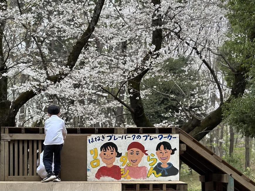 日本東京｜孩子最愛的樂園+私藏公園名單20選