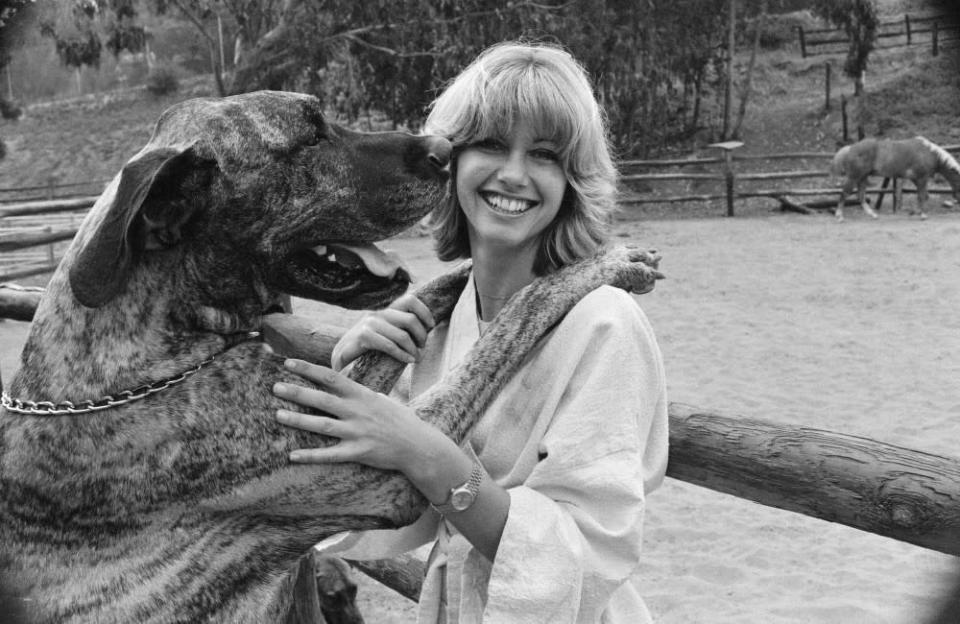 The 'Xanadu' actress lived at a university as a child because her father was a professor and explained that she would spend her time rescuing various animals after watching a horse being abused. She said: "We lived in a university and my father was a professor, and I used to rescue them all the time. And my mother said I was always bringing home strays. Stray dogs, stray cats, and I remember as a little girl, seeing a guy being abusive to a horse with a cart, and I went up and grabbed the reins and yelled at him… I must have been under 10. So, yeah… I always adored them."