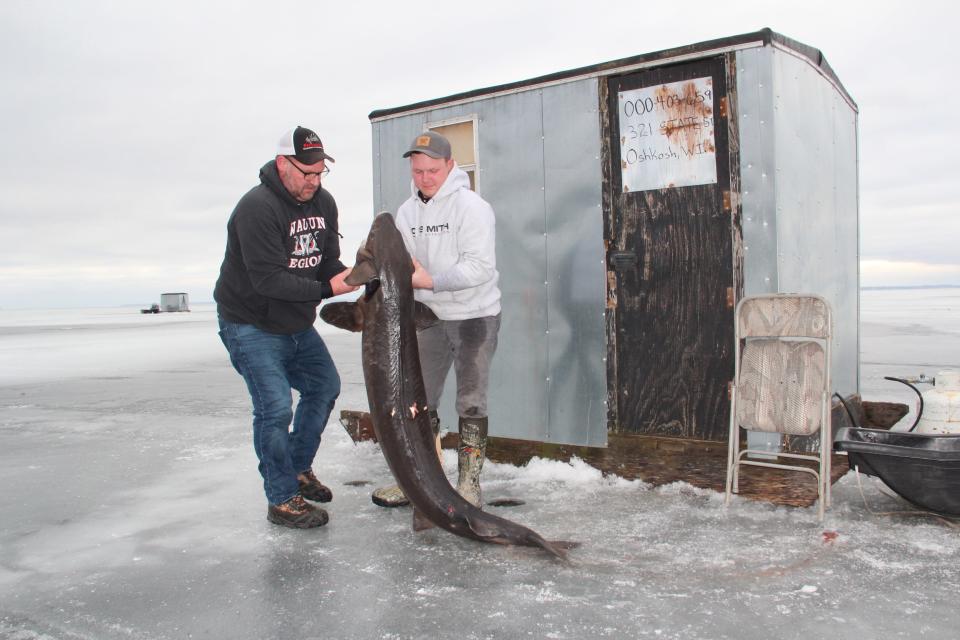 Jon Sauer (left) and his son Drew, both of Brandon, move a 77-inch-long lake sturgeon Jon speared about 8 a.m. Saturday on Lake Winnebago. Saturday was opening day of the 2024 spearing season on the Winnebago System.