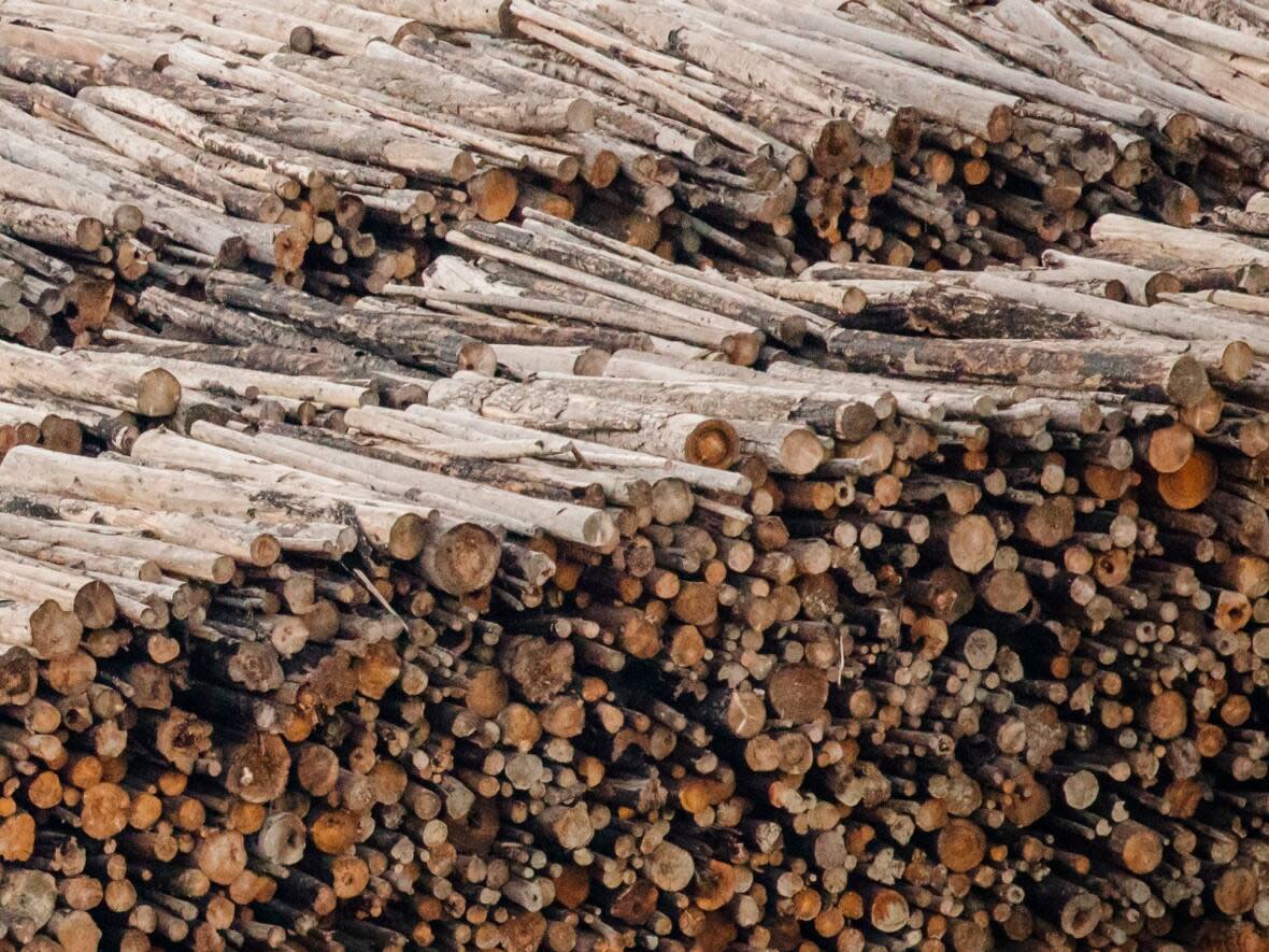 Logs are pictured at a sawmill in Merritt, B.C. in February. On Wednesday, forestry company West Fraser Timber announced production curtailment at three of its mills. (Ben Nelms/CBC - image credit)