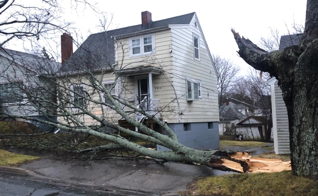 Damage from a 2019 storm is seen in Halifax. (Craig Paisley/CBC - image credit)