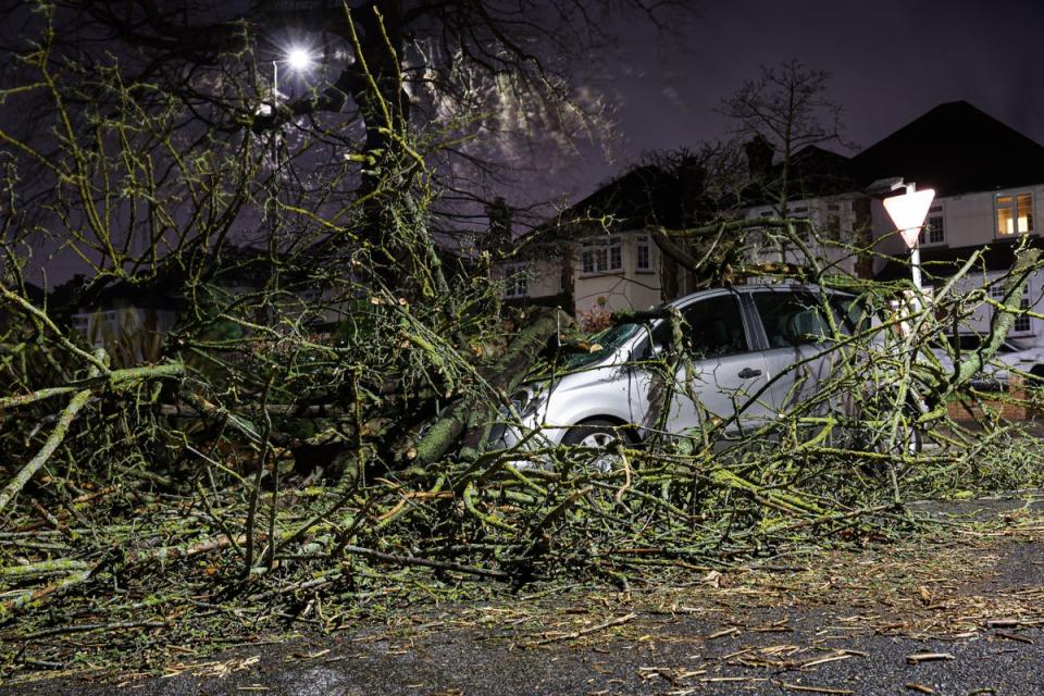 A tree blown over by the wind and landed on a car on Beckenham Grove, Bromley, Kent (PA)
