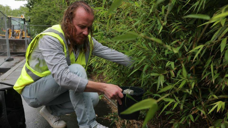 A man hunts for invasive mosquitos in Paris near the Stade de France on 28 May