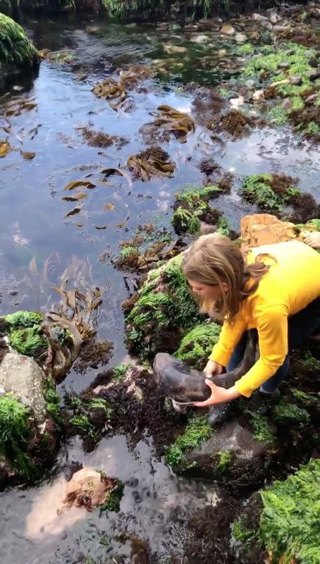 Social media video grab of Billie Rea rescuing a draughtboard shark