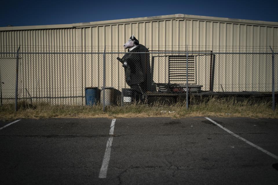 A bull dressed in a tuxedo is stored at the back of a parking lot in Las Vegas, Monday, Nov. 9, 2020. (AP Photo/Wong Maye-E)