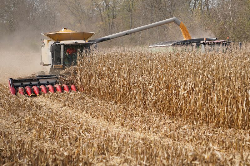 Corn is harvested from a field on Hodgen Farm in Roachdale