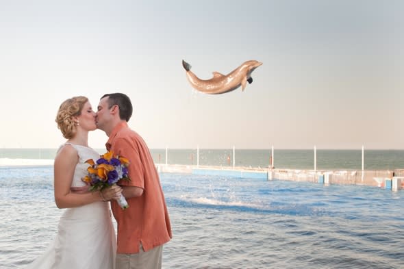 Dolphin photobombs couple's first kiss at wedding