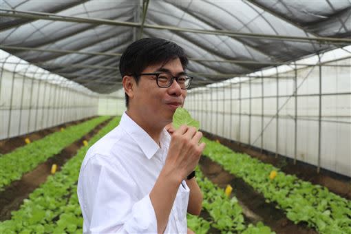 劉宥彤表示，陳其邁是目前為止，唯一一位數次來農場、關心農場發展的人。（圖／翻攝自陳其邁臉書）