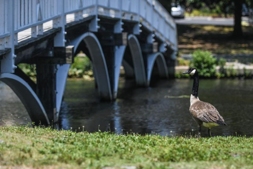 Barrier finally comes down between white, black cemeteries in Texas; Kansas man has now run a marathon in every state; and more