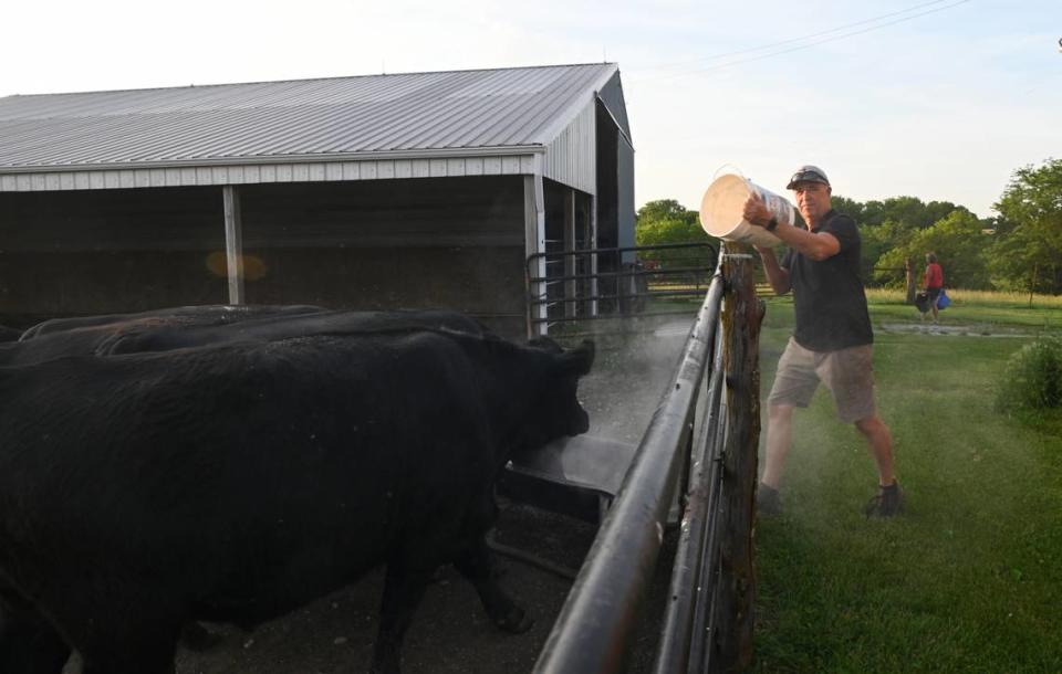 Doug Doughty feeds his livestock on June 2 in Livingston County, Mo. In addition to his 1,200-acre crop operation, Doughty owns roughly 20 cattle, two horses and a collection of farm cats and dogs.