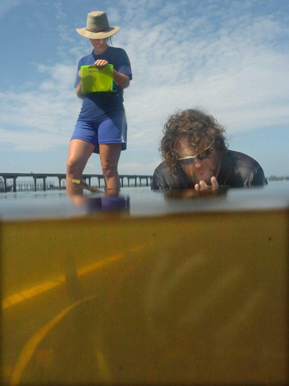 Scientists study underwater grasses in the St. Johns River during a 2006 research project.