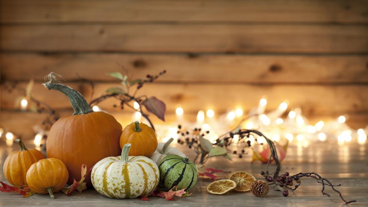 autumn pumpkin arrangement on a wood background