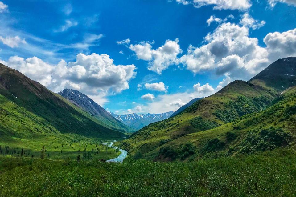 View from Denali Highway, mountains and greenery with a river running through to mountains.